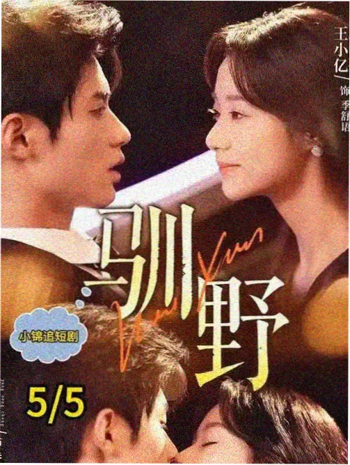 租来的家 都市生活剧集封面